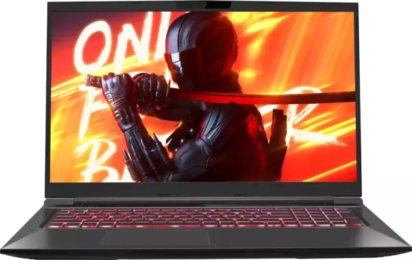 Ноутбук Maibenben X725, 17.3", IPS, Intel Core i5 12450H, DDR4 16ГБ, SSD 512ГБ, NVIDIA GeForce RTX 4060 для ноутбуков 8ГБ, черный (x725fsfnlbre0)